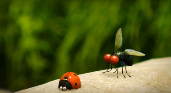 انیمیشن زندگی حشرات - فصل ۱ - قسمت ۶۱