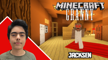 پوستر استریم گرنی در ماینکرفت - جکسن