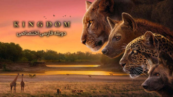 پوستر پادشاهی