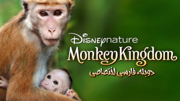 پوستر قلمرو میمون ها