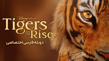 پوستر ببرهای در حال ظهور