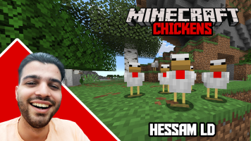 پوستر استریم ماینکرفت: اما مرغم - حسام ال‌دی