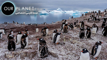 پوستر سیاره ما 2