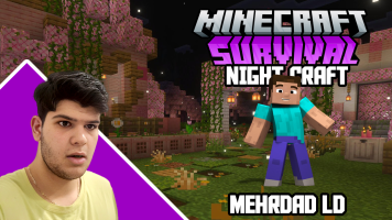 پوستر استریم ماینکرفت: سروایول نایت‌کرفت - مهرداد ال‌دی