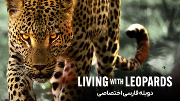 پوستر زندگی با پلنگ ها