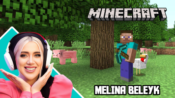 پوستر استریم ماینکرفت آموزشی - ملینا بلیک