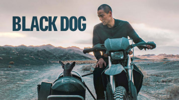 پوستر سگ سیاه