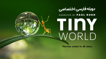 پوستر دنیای کوچک