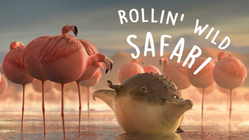 پوستر گردالی‌ها در طبیعیت