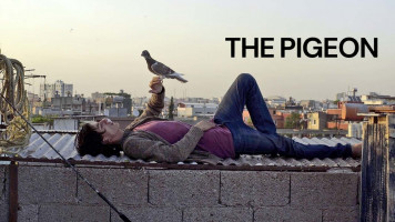 پوستر کبوتر