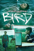 پوستر پرنده