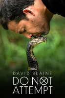 پوستر دیوید بلین: تلاش نکن