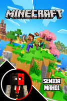 پوستر استریم ماینکرفت: رتبه بندی - سنیور مهدی