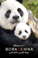 پوستر متولد چین