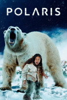 پوستر ستاره‌ی قطبی