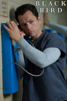 پوستر پرنده سیاه