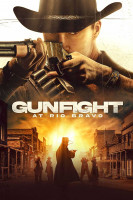 پوستر درگیری مسلحانه در ریو براوو