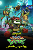 پوستر ماجراهای لاک پشت های نینجا