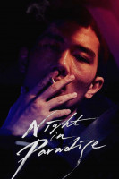 پوستر شبی در بهشت