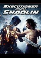 پوستر انتقام استاد شائولین