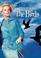 پوستر پرندگان