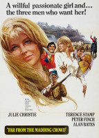 پوستر دور از اجتماع خشمگین