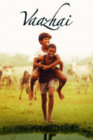 پوستر درخت موز