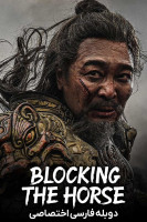 پوستر دزد اسب