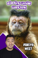 پوستر بهترین دوبله‌های پوریا وست