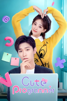 پوستر برنامه‌نویس بانمک