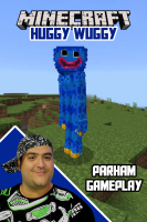 پوستر استریم ماینکرفت: هاگی واگی - پرهام گیم پلی