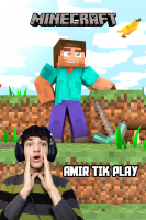 پوستر استریم ماینکرفت - امیر تیک پلی