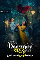 پوستر دو دیوانه در شهر