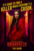 پوستر بریارپچ