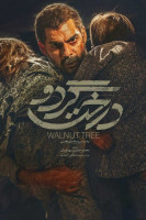 پوستر درخت گردو