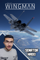 پوستر استریم پروژه وینگمن - سناتور هادی