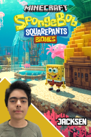 پوستر استریم ماینکرفت: استادیوم پاتریک - جکسن