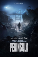 پوستر قطار بوسان ۲