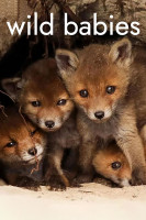 پوستر بچه های وحشی