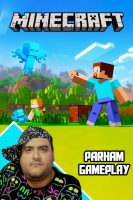پوستر استریم ماینکرفت: ماجراجویی - پرهام گیم پلی