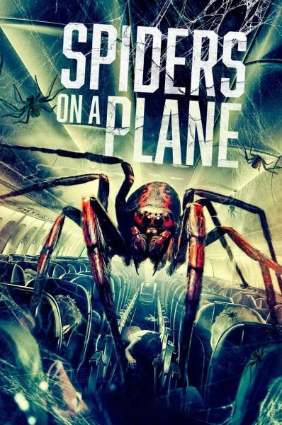 عنکبوت ها در هواپیما