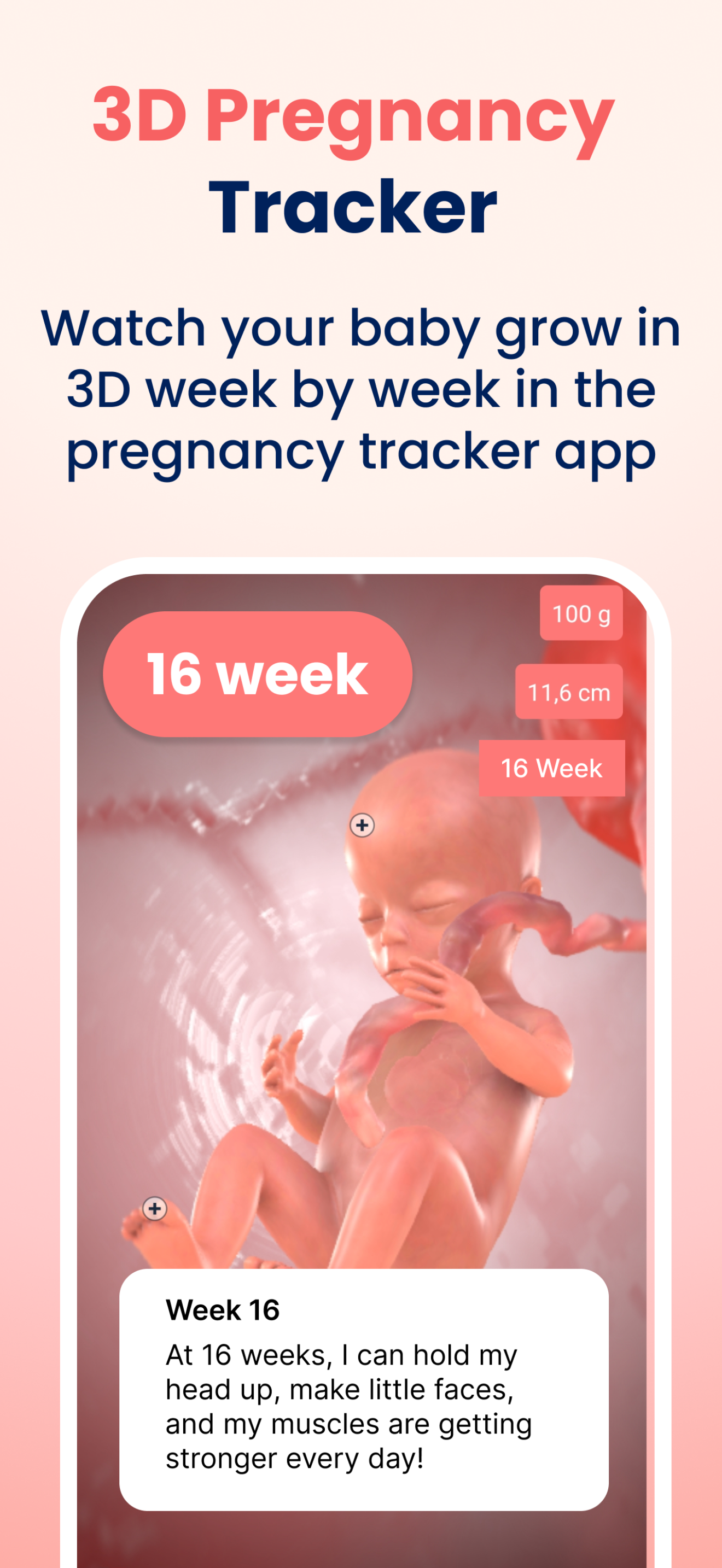 اسکرین شات 3 برنامه HiMommy: Pregnancy Tracker
