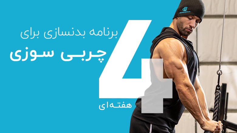 اسکرین شات 2 برنامه 50 برنامه تمرینی بدنسازی