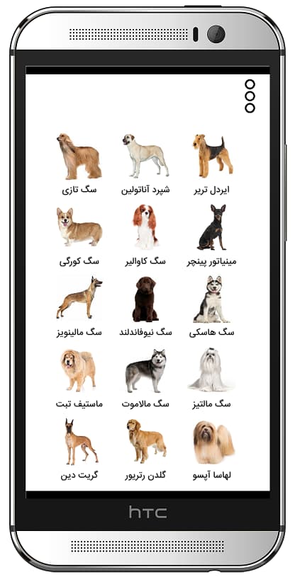 اسکرین شات 7 برنامه هاپو: تربیت و نگهداری سگ