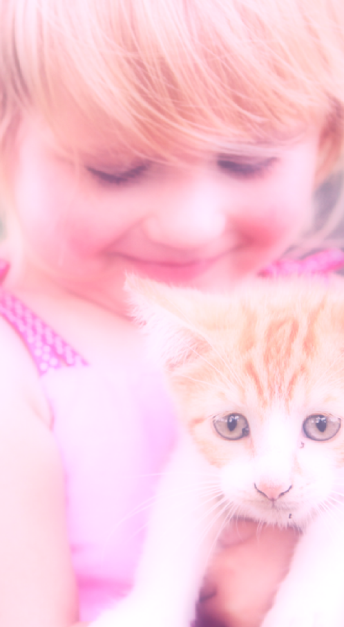 اسکرین شات 8 برنامه Soft Pink Filter : Shades pink