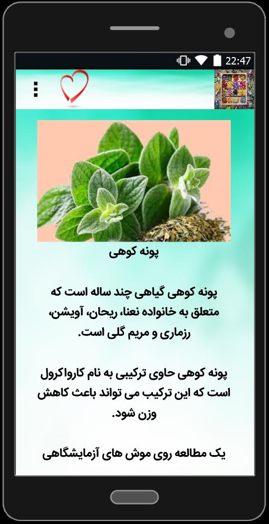 اسکرین شات 2 برنامه داروهای گیاهی برای لاغر شدن