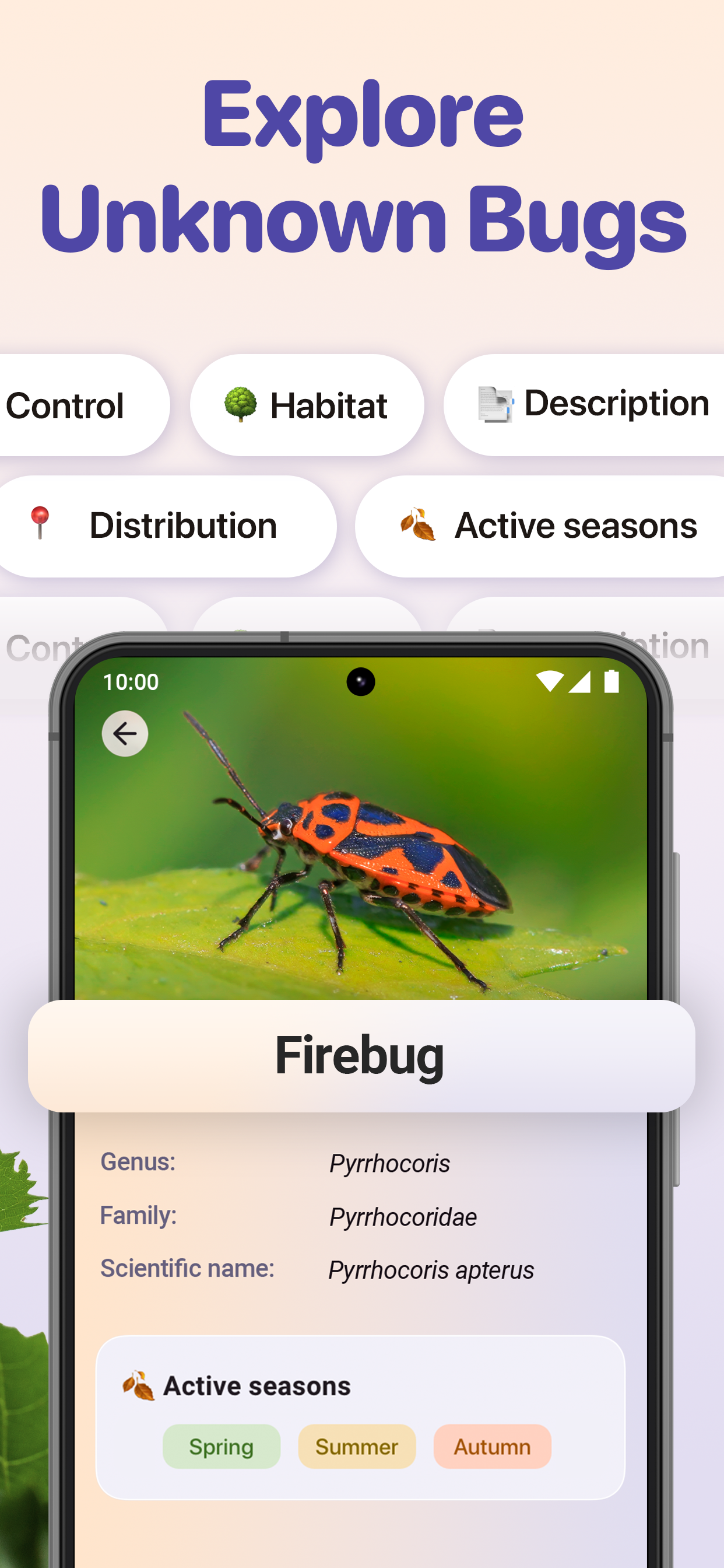 اسکرین شات 3 برنامه Bug ID - Insect Identifier