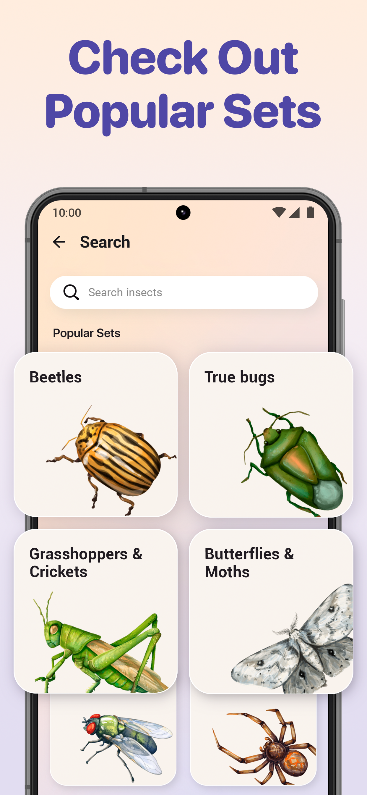 اسکرین شات 5 برنامه Bug ID - Insect Identifier