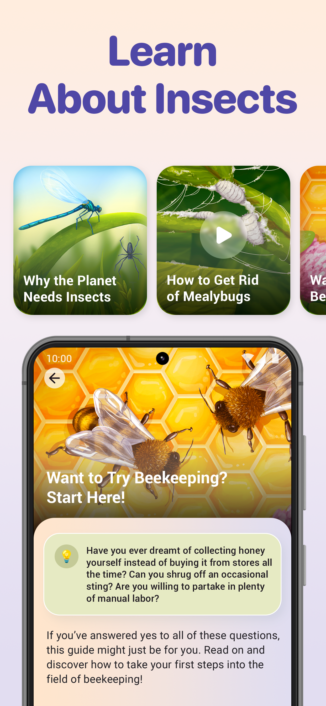 اسکرین شات 4 برنامه Bug ID - Insect Identifier