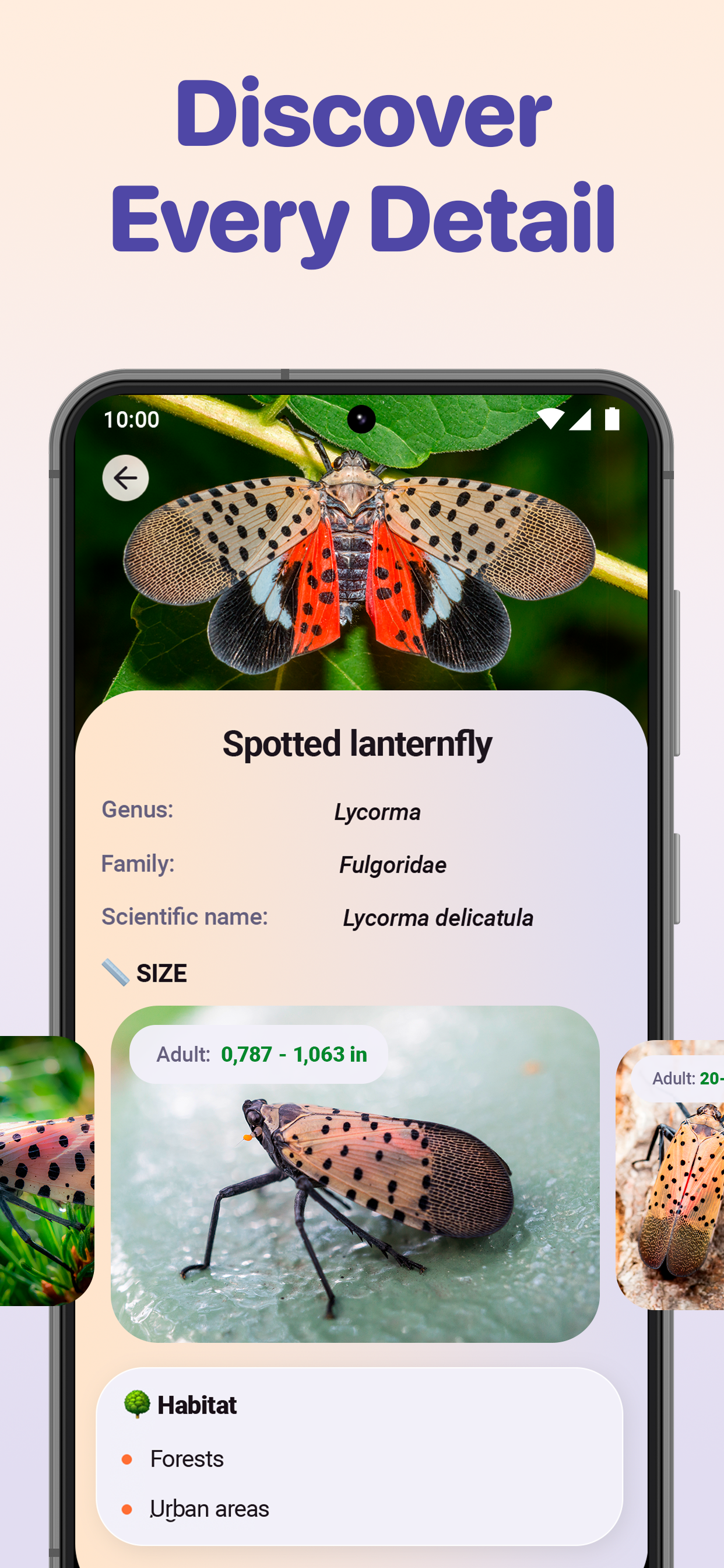 اسکرین شات 7 برنامه Bug ID - Insect Identifier